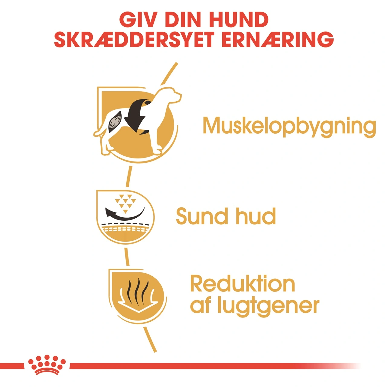 Royal Canin French Bulldog Adult 3 kg - tørfoder til voksne hunde